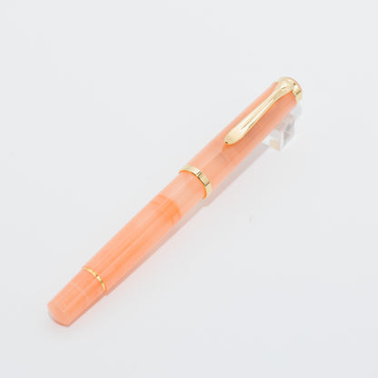 Pelikan M200 Apricot Achat fountain pen with the Edelstein Ink Set
