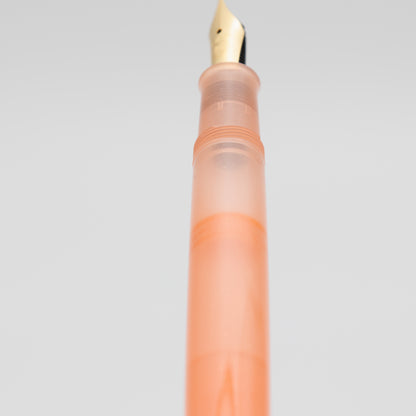 Pelikan M200 Fountain Pen Apricot Achat 2025 Special Edition