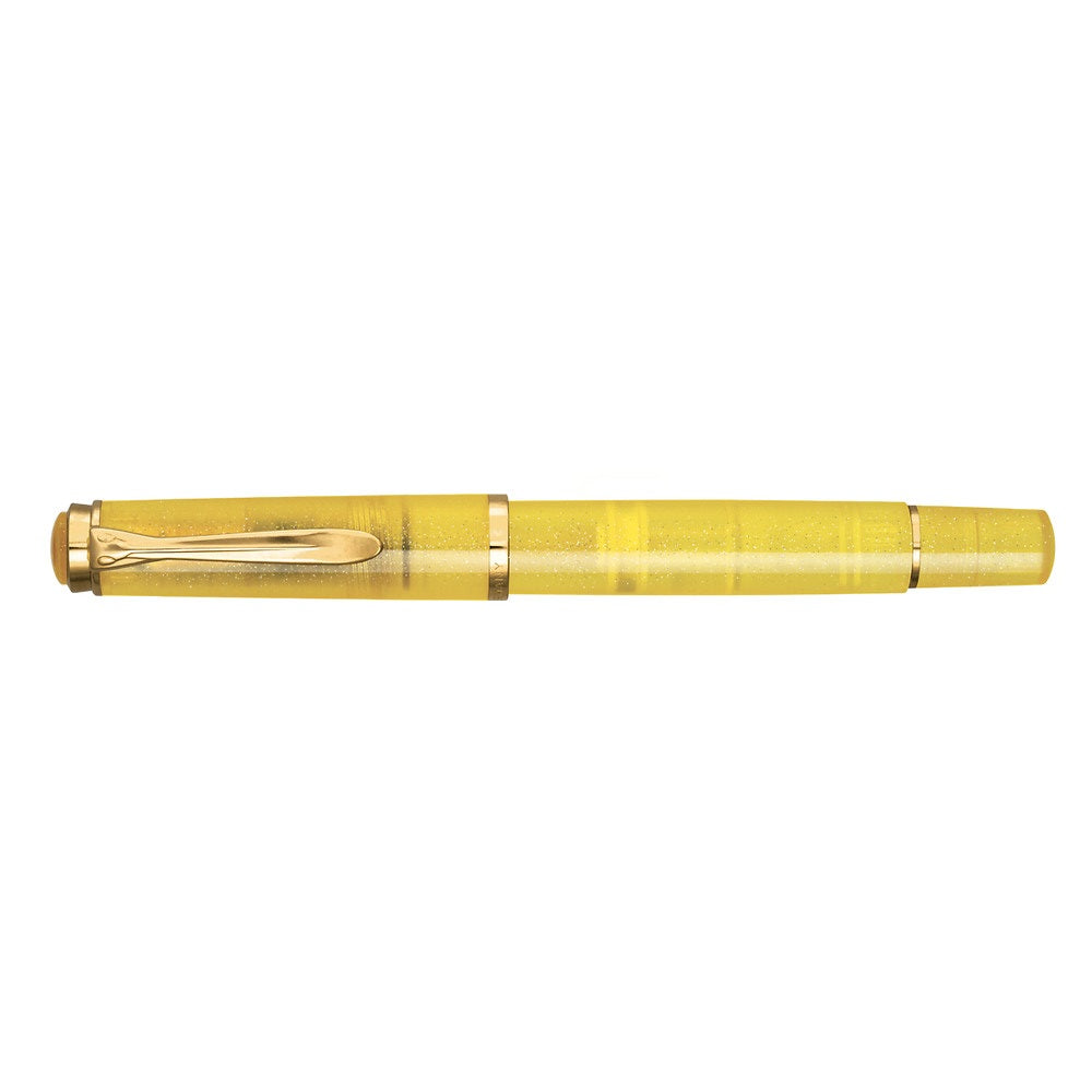 Pelikan Classic M200 パイライト 万年筆＋インクセット