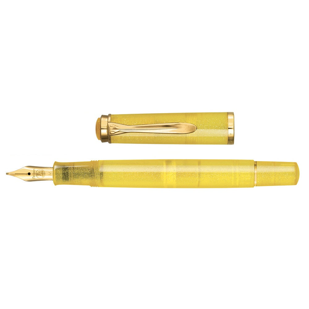 Pelikan Classic M200 パイライト 万年筆＋インクセット