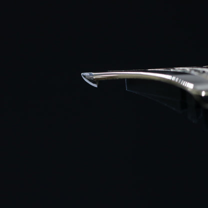 Nib Customization "Kodachi"